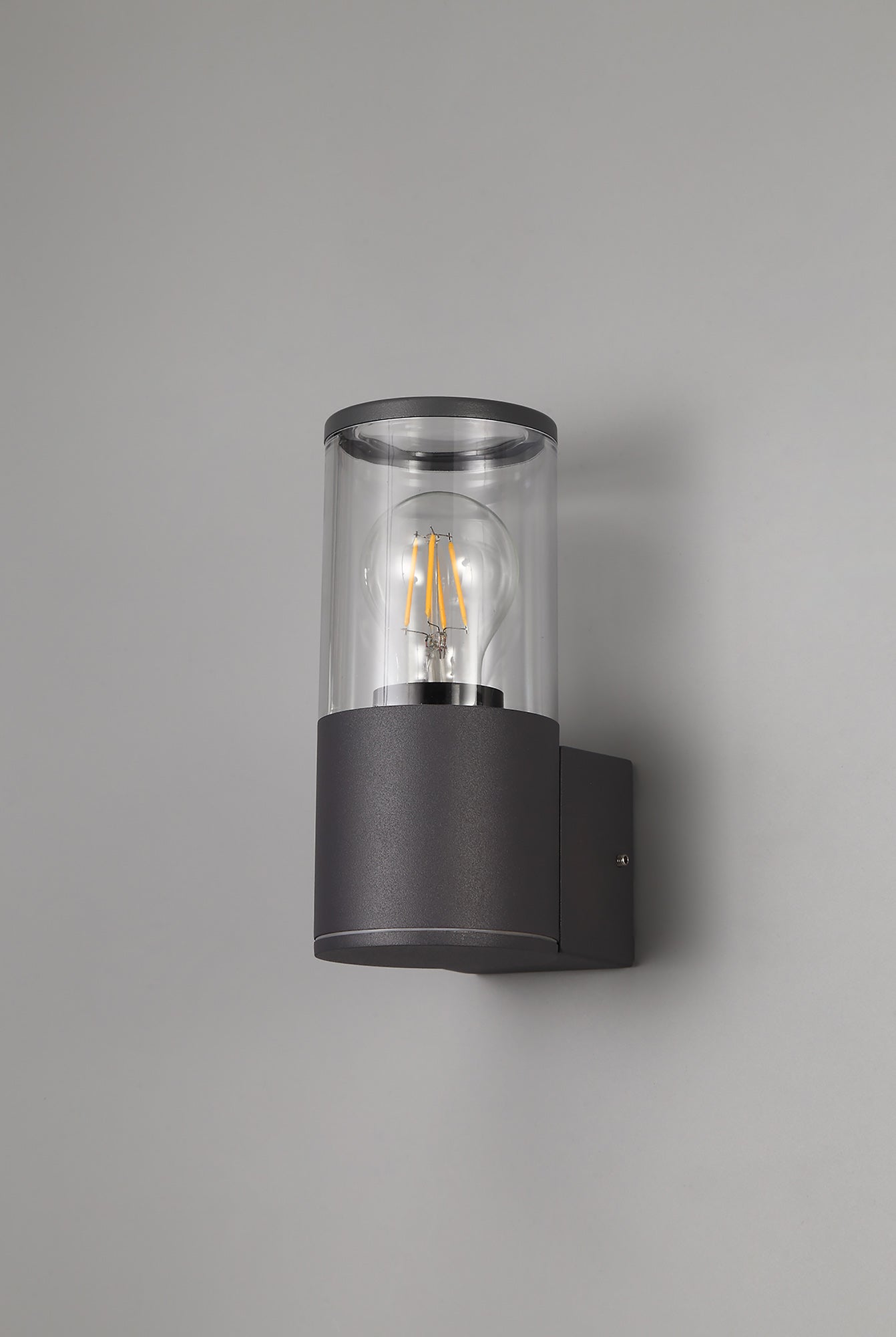 Pascoe Wall Lamp 1 x E27, IP54, Anthracite/Clear, 2yrs Warranty