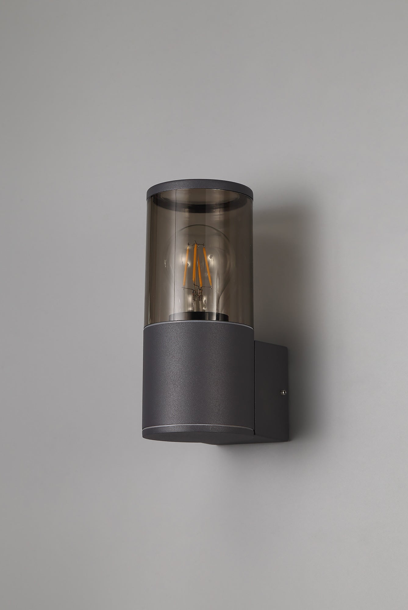 Pascoe Wall Lamp 1 x E27, IP54, Anthracite/Smoked, 2yrs Warranty