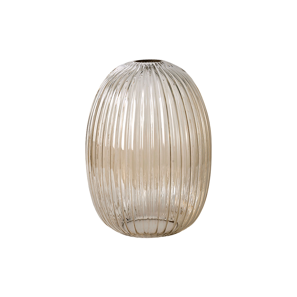 Allardyce 20cm Almond Ribbed Glass (F), Champagne