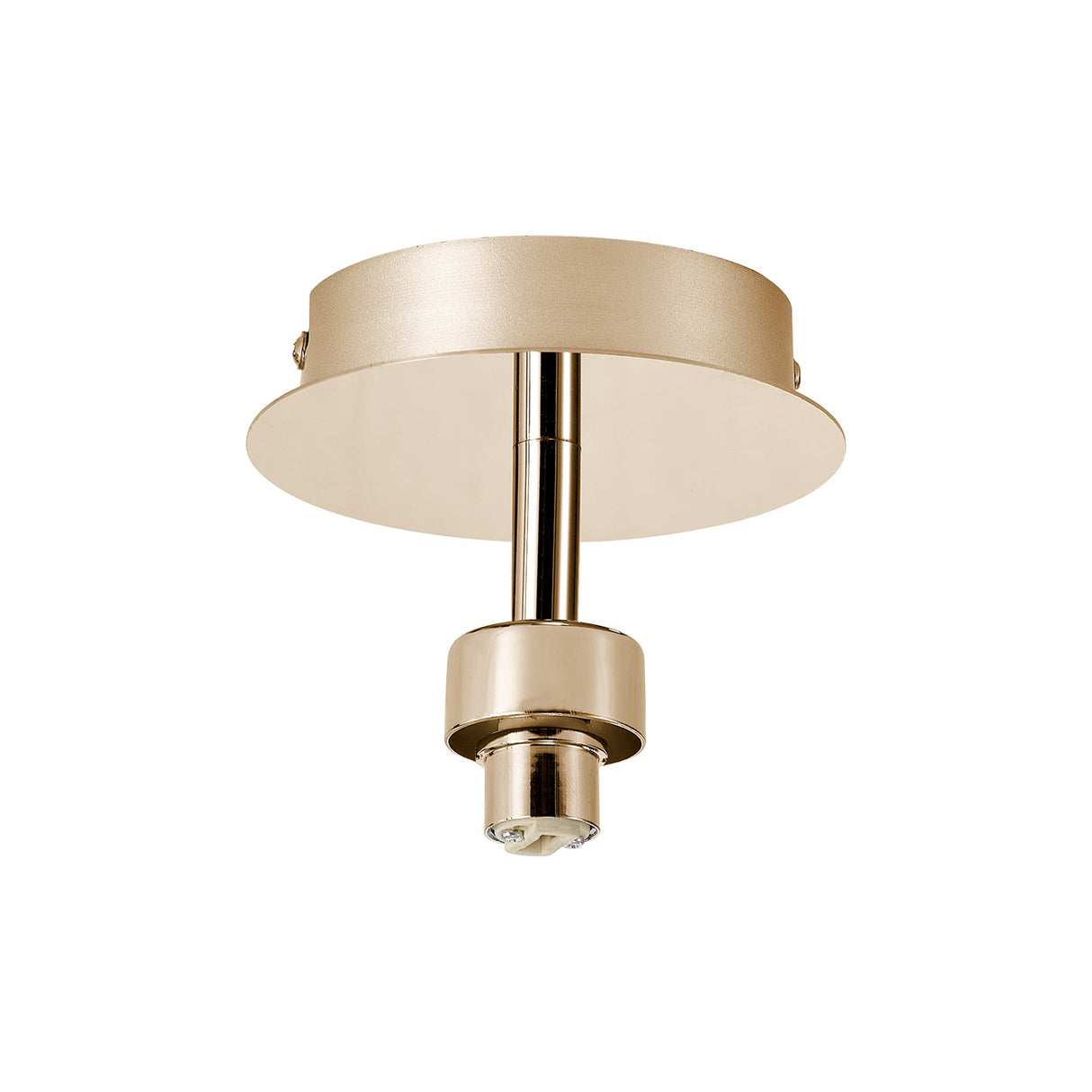 Lathen French Gold 1 Light G9 Universal Flush Light, Suitable For A Vast Selection Of Glass Shades