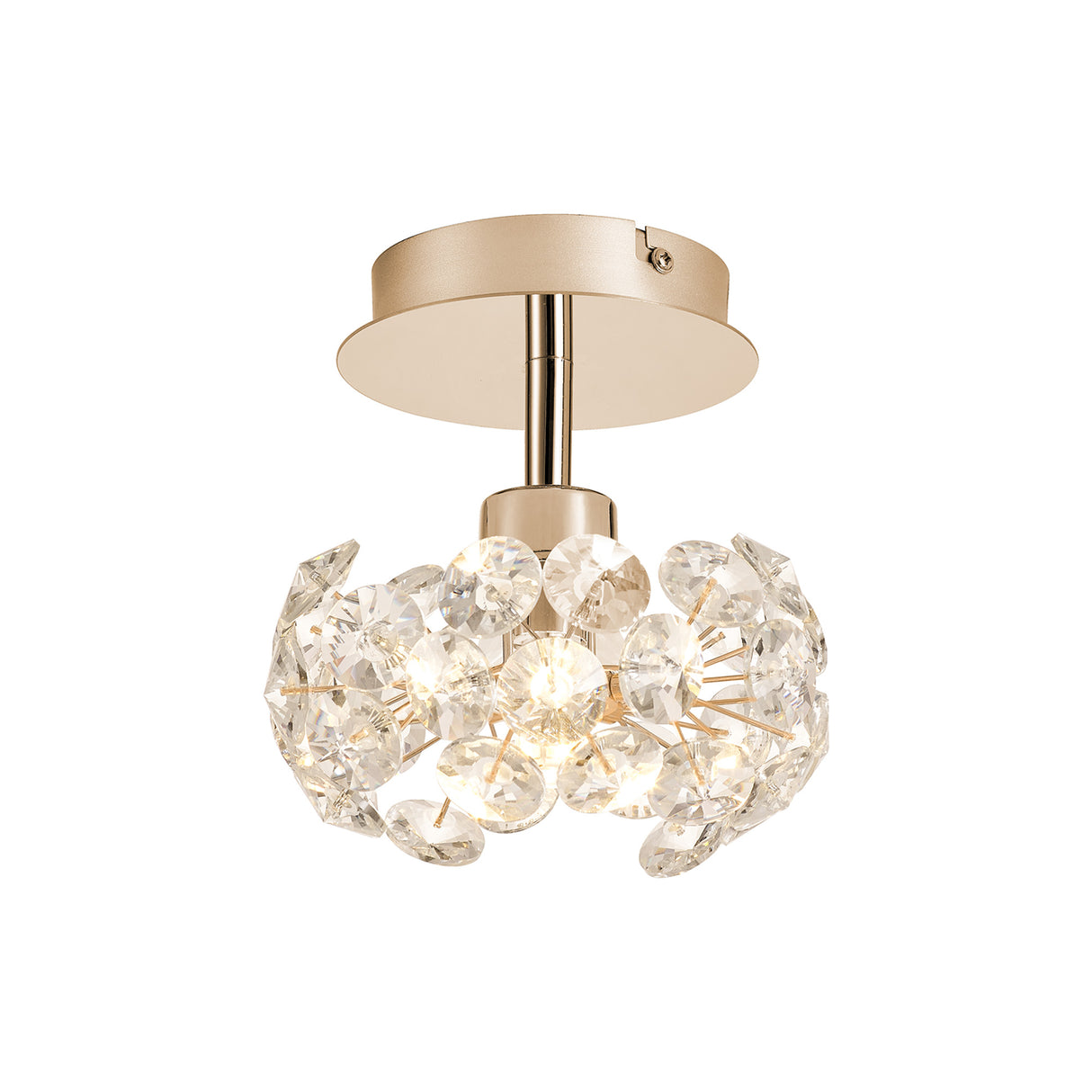 Byrne 1 Light G9 Surface Light With French Gold And Crystal Shade