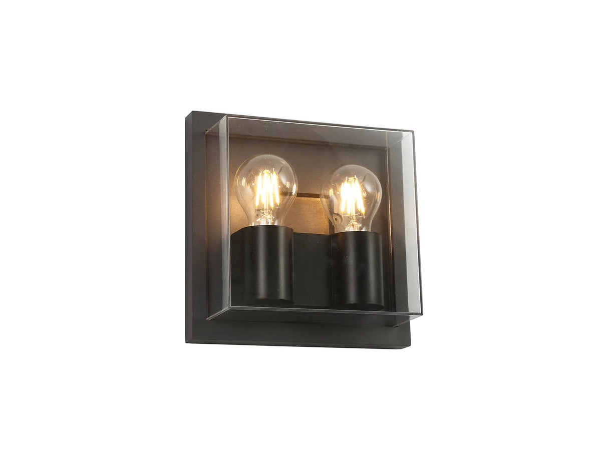 Agboola Flush/Wall Lamp, 2 x E27, IP65, Anthracite/Clear PC