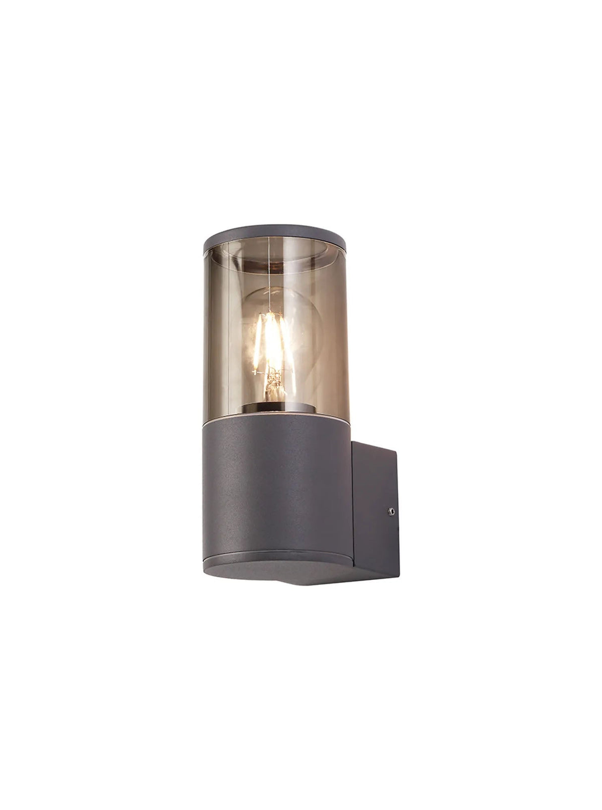 Pascoe Wall Lamp 1 x E27, IP54, Anthracite/Smoked