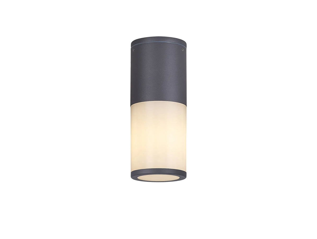 Pascoe 22cm Ceiling/Post Lamp 1 x E27, IP54, Anthracite/Opal