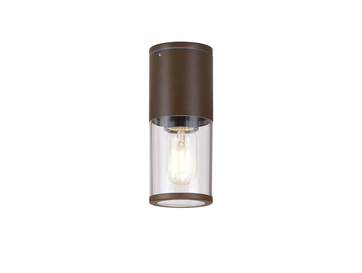Pascoe 22cm Ceiling/Post Lamp 1 x E27, IP54, Matt Brown/Clear