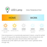 Rae Table Lamp, 1 x 7W LED, 4000K, 790lm, Antique Brass/Amber, 3yrs Warranty