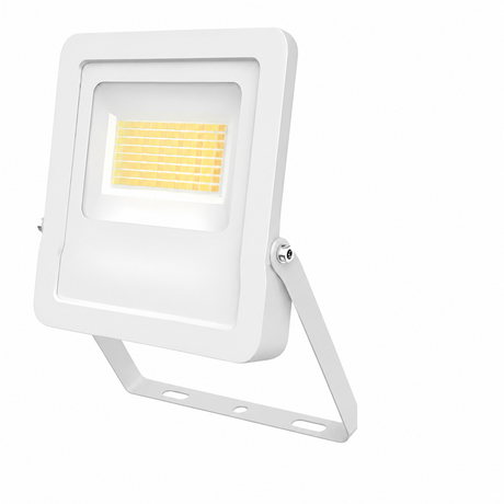 Diamond Dunham LED 10W Floodlight - Selectable Colour - DU2W-10T