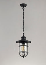 Cox Pendant, 1 x E27, Black/Gold With Seeded Clear Glass, IP54, 2yrs Warranty