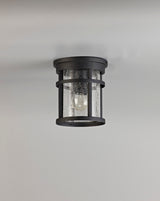 Gray Ceiling, 1 x E27, Black/Clear Crackled Glass, IP54, 2yrs Warranty