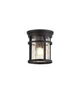 Gray Ceiling, 1 x E27, Black/Clear Crackled Glass, IP54, 2yrs Warranty