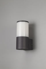 Pascoe Wall Lamp 1 x E27, IP54, Anthracite/Opal, 2yrs Warranty
