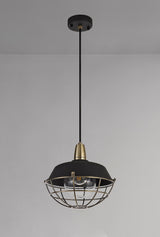 Lemon Pendant, 1 Light E27, IP65, Matt Black/Antique Brass, 2yrs Warranty