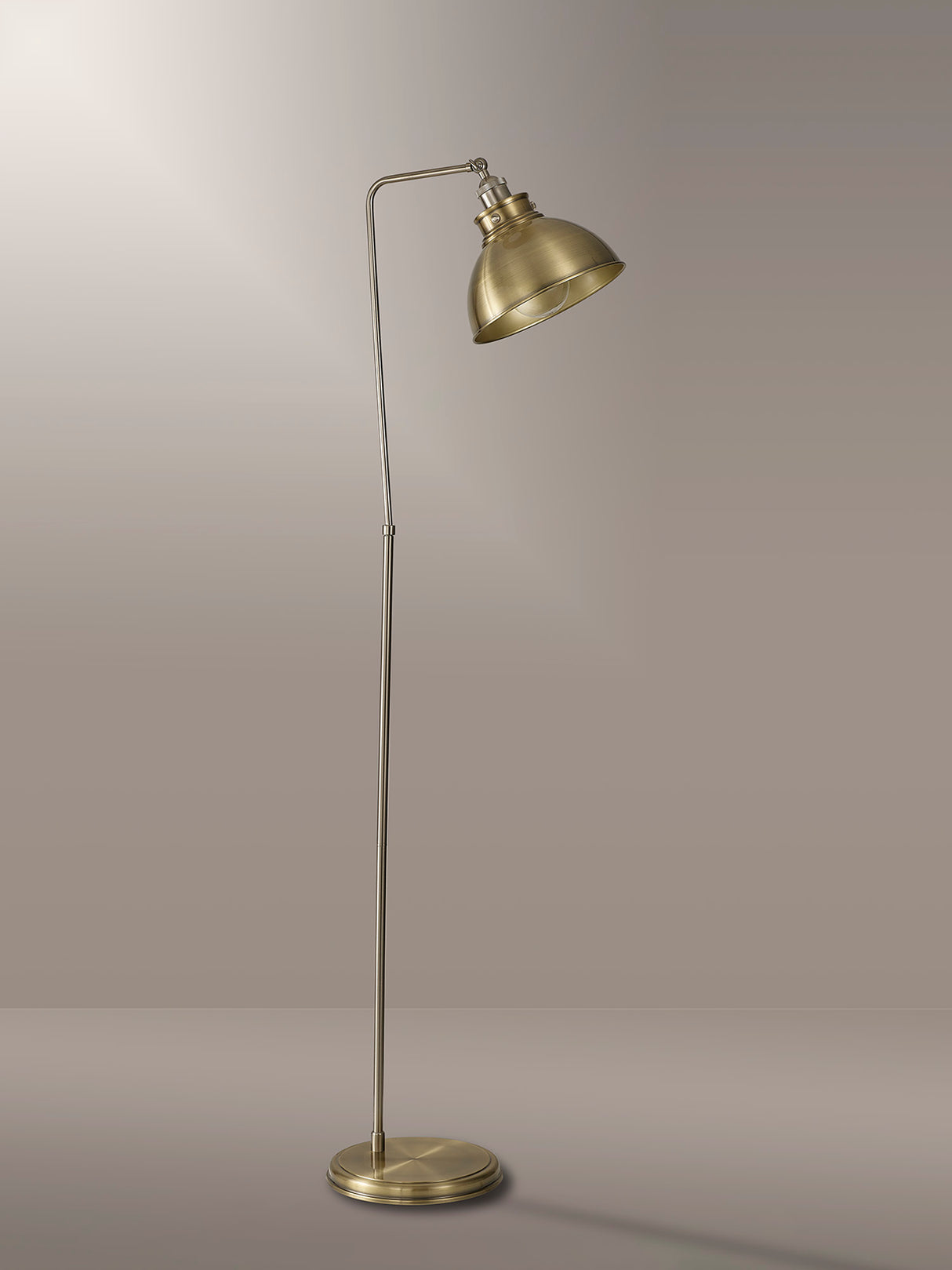 Entwistle Adjustable Floor Lamp, 1 x E27, Satin Nickel / Antique Brass / Gold