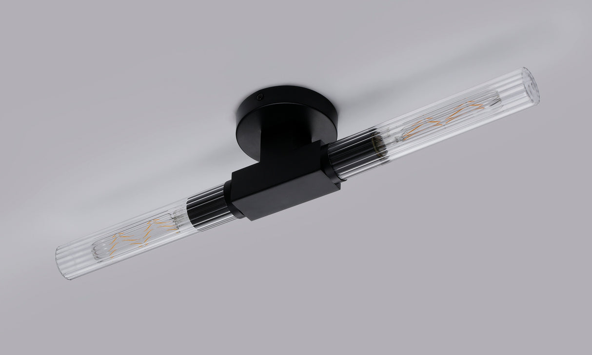 Ferdinand 2 Light Wall/Ceiling, E27, IP44, Satin Black