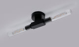 Ferdinand 2 Light Wall/Ceiling, E27, IP44, Satin Black