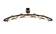 Bertshin Linear Ceiling, 5 Ring, 36W LED, 3200K, Satin Black/Gold