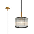 Cailagan 1.9m Single Pendant With 30 x 20cm Glass Rod Shade, 1 x E27, Brass/Clear
