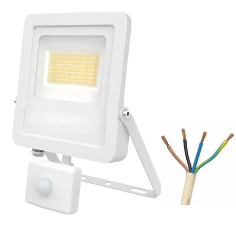 Diamond Dunham LED 10W White Floodlight With PIR - Selectable Colour - DU2W-10TP