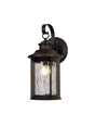 Goodman Small Wall Lamp, 1 x E27, Antique Bronze/Clear Ripple Glass, IP54