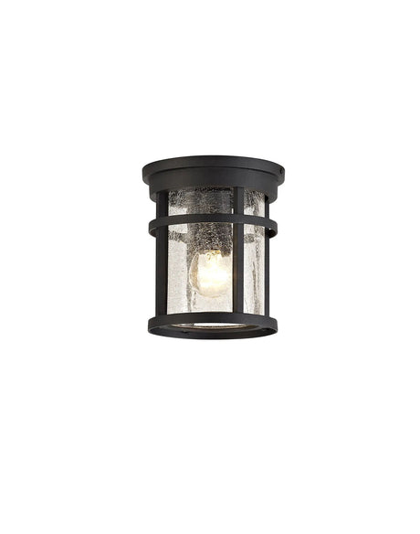 Gray Ceiling, 1 x E27, Black/Clear Crackled Glass, IP54