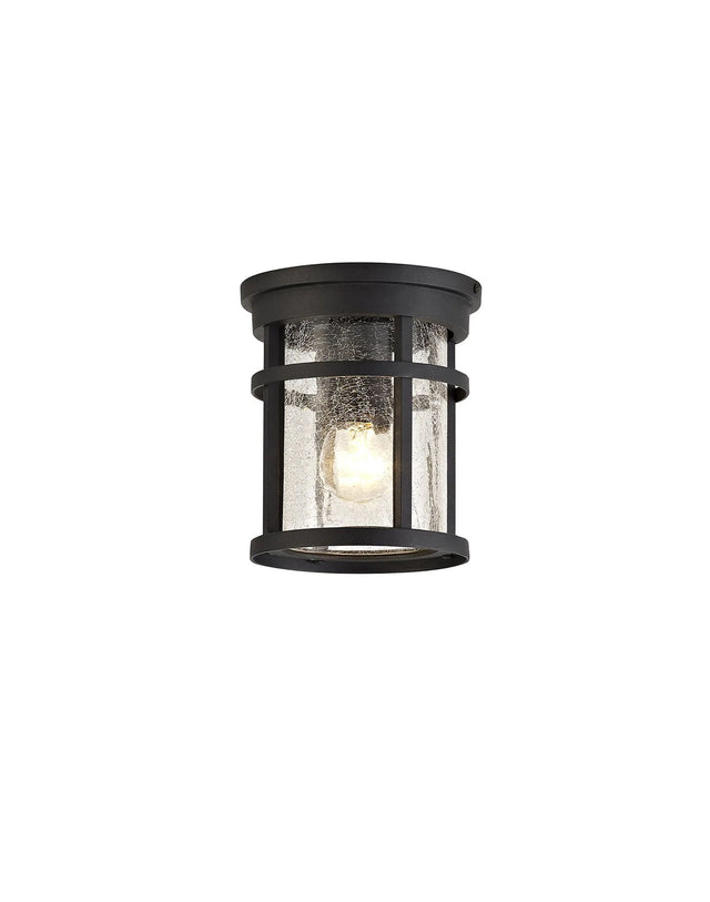 Gray Ceiling, 1 x E27, Black/Clear Crackled Glass, IP54