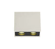 Holloway 2 Light Rectangular Ceiling GU10, White Paintable Gypsum With Matt Black Cover