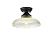 Holloway 1 Light Flush Ceiling E27 With Round 30cm Glass Shade Matt Black/Clear