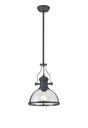 Munro Multi Height Pendant, 1 x E27, Graphite With Round 30cm Graphite/Clear Glass Shade