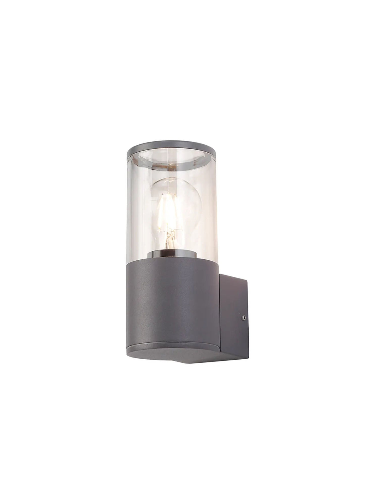 Pascoe Wall Lamp 1 x E27, IP54, Anthracite/Clear
