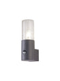 Pascoe Wall Lamp With PIR Sensor 1 x E27, IP54, Anthracite/Crackled Clear