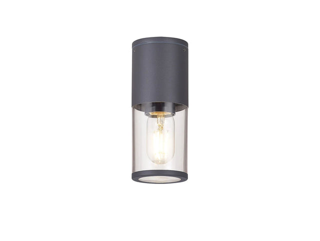 Pascoe 22cm Ceiling/Post Lamp 1 x E27, IP54, Anthracite/Clear