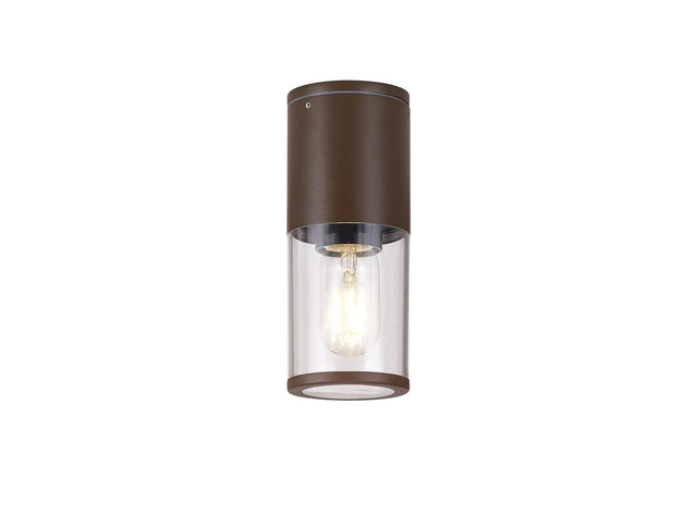 Pascoe 22cm Ceiling/Post Lamp 1 x E27, IP54, Matt Brown/Clear