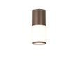 Pascoe 22cm Ceiling/Post Lamp 1 x E27, IP54, Matt Brown/Opal