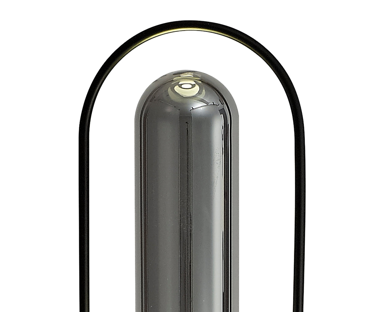 Rae Floor Lamp, 1 x 7W LED, 4000K, 790lm, Black/Smoked, 3yrs Warranty
