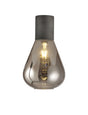 Rowell Ceiling Light With Narrow Glass, 1 x E27, Pewter/Smoke