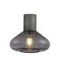 Rowell Ceiling Light With Wide Glass, 1 x E27, Pewter/Inky Black