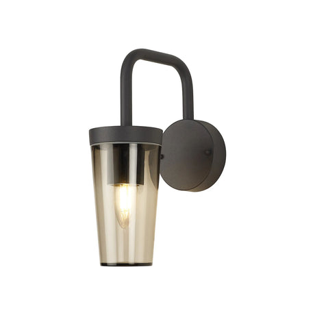 Shoulder Wall Lamp, 1 x E27, Anthracite/Smoked, IP54