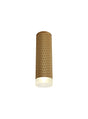 Tueart 1 Light 20cm Surface Mounted Ceiling GU10, Champagne Gold/Acrylic Ring
