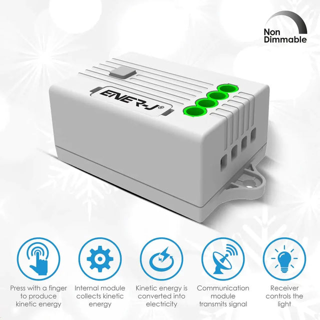 Ener-J WS1016 Pro Range 5A Non-Dimmable Receiver